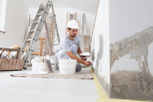Best Black Mold Removal  in West Reading, PA