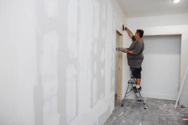 Best Water Damage & Mold Remediation  in West Reading, PA